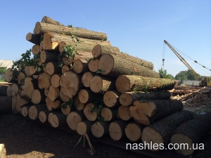 Производство вагонки_1